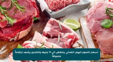 أسعار اللحوم اليوم: الضاني ينخفض إلى 11 جنيها والكندوز يشهد ارتفاعاً ملحوظاً